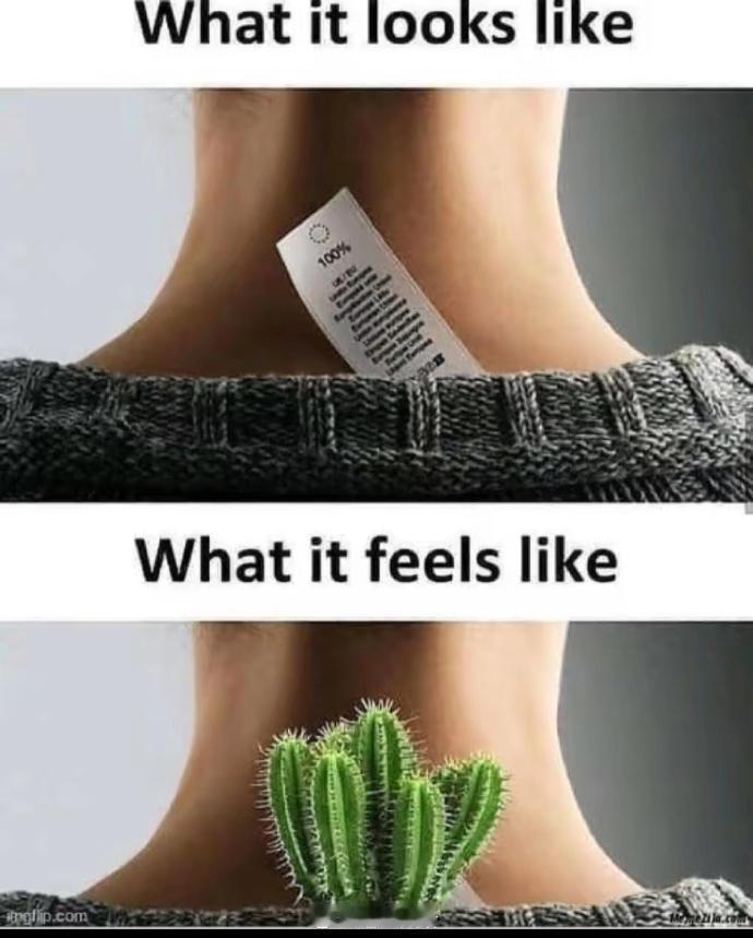 太真实了…太形象了……