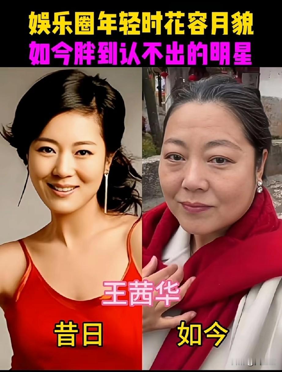 娱乐圈年轻时花容月貌如今胖到认不出的5位明星哪位胖了更好看？