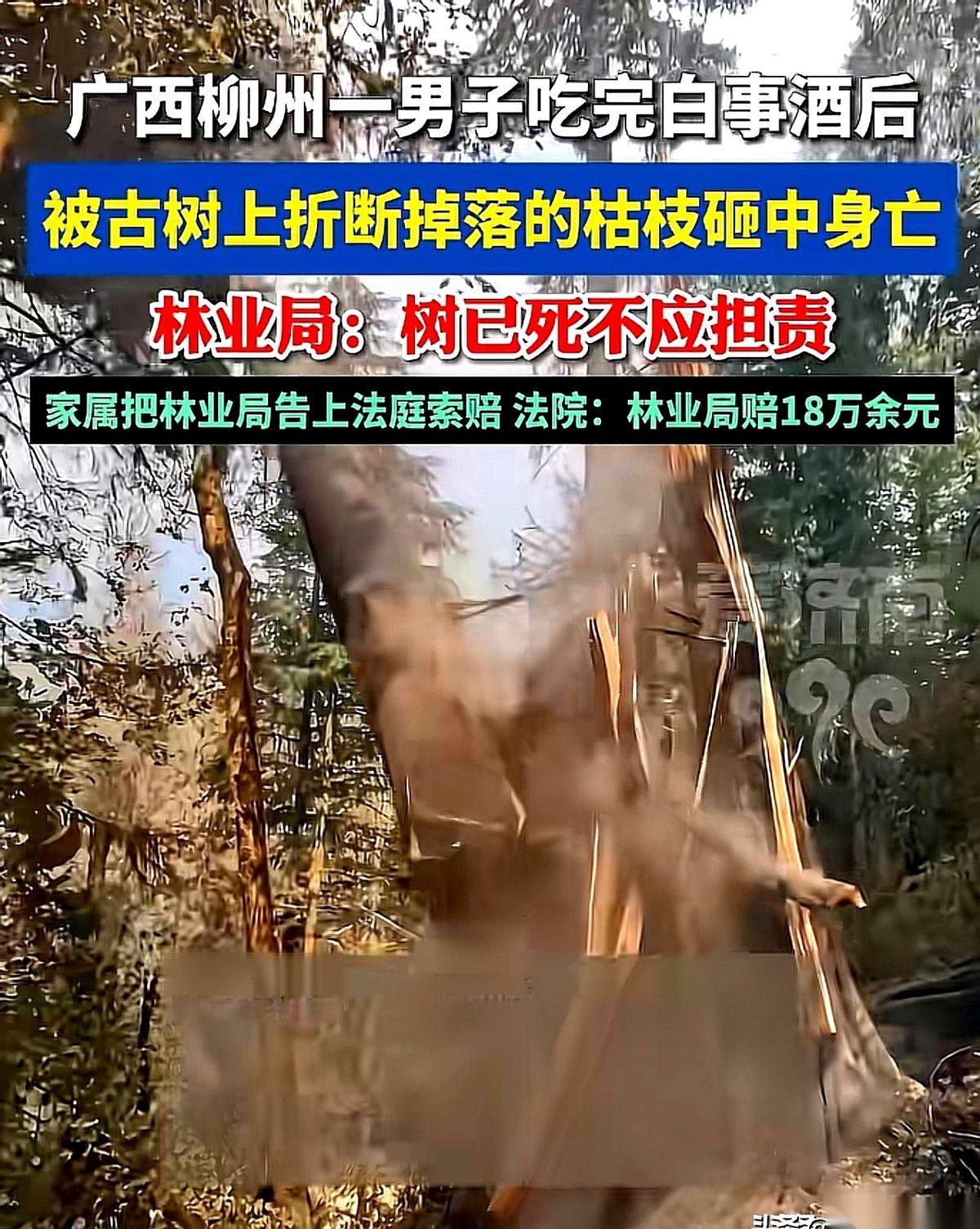 我勒个去！真就是人在家中坐，祸从天上来啊！你说这叫什么事儿？一个人好端端地去村里