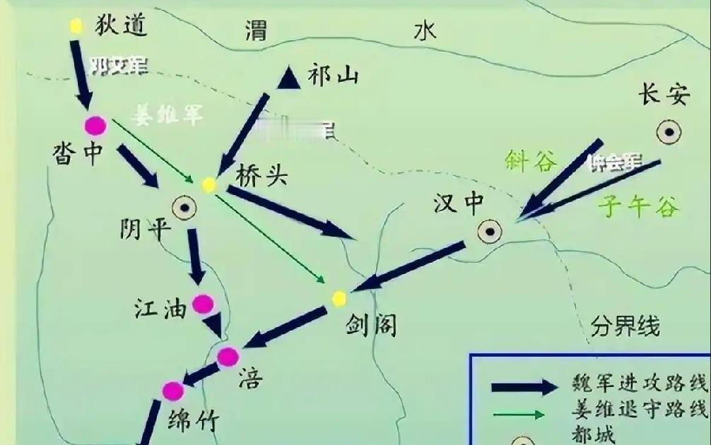 姜维忠勇可嘉，但其战略却害了国家。敛兵聚谷、沓中练兵，姜维的战略是在弄险，把