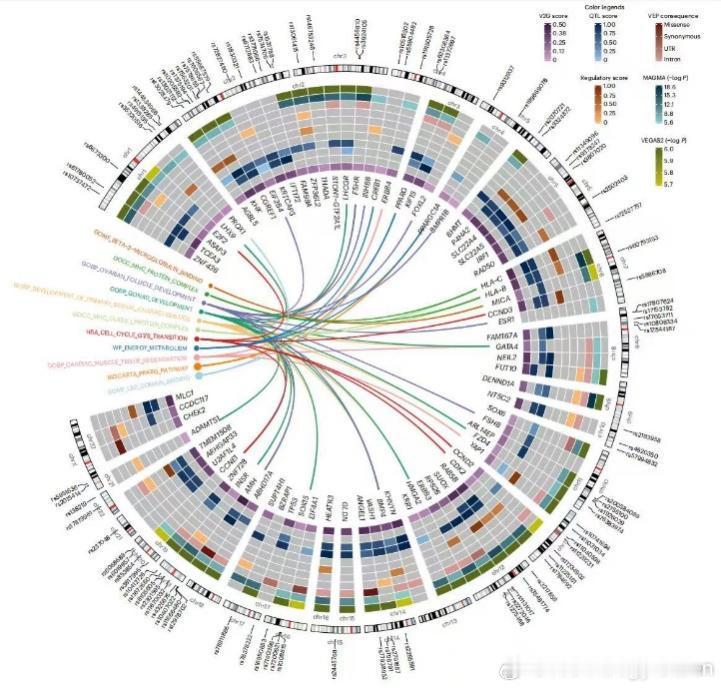 2025年11月4日，中国科学院脑科学与智能技术卓越创新中心师咏勇研究团队联合上