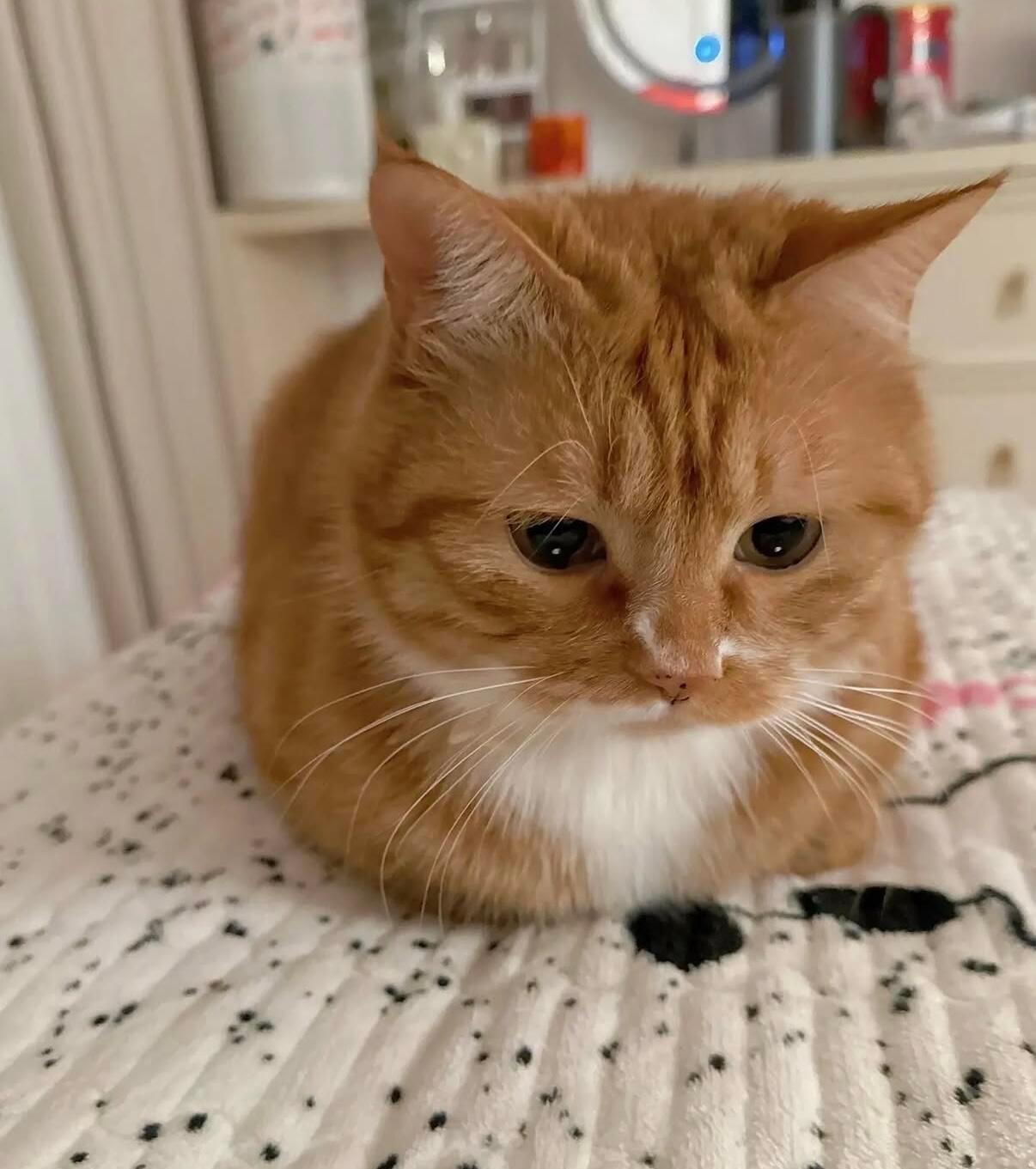 朋友们，一定要和人品端正的男生谈恋爱。人品好的男生，你不需要事事叮嘱、时时约束，