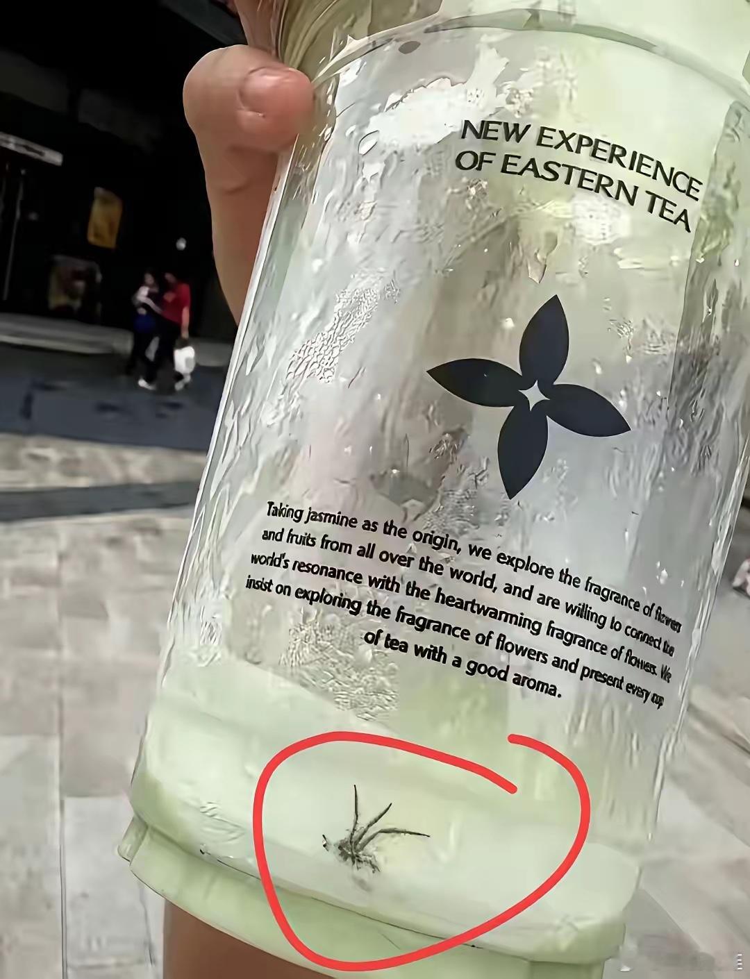 果然！老V开始出阴招了！眼看起诉茉莉奶白这事儿，舆论汹涌澎湃，一边倒地倒向了力挺