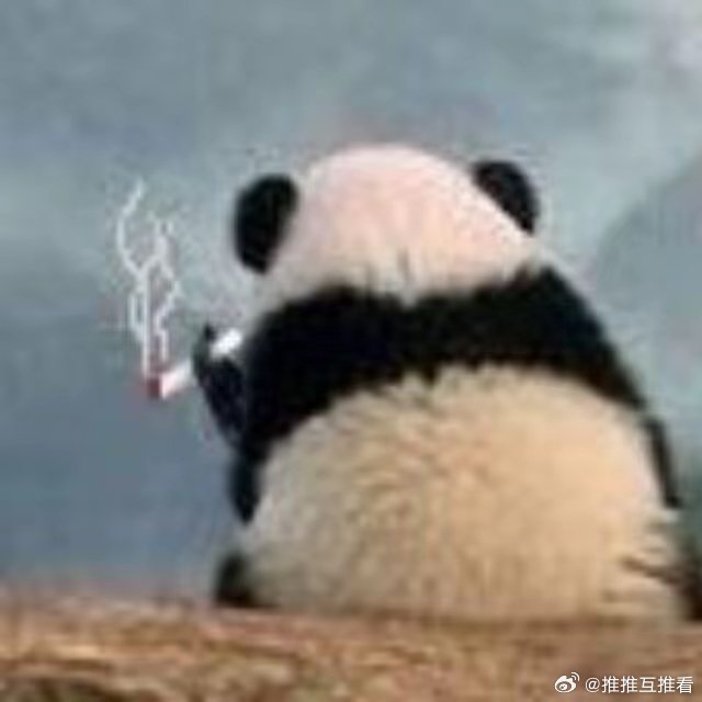 完全演我，电话几乎我都是能不接就不接