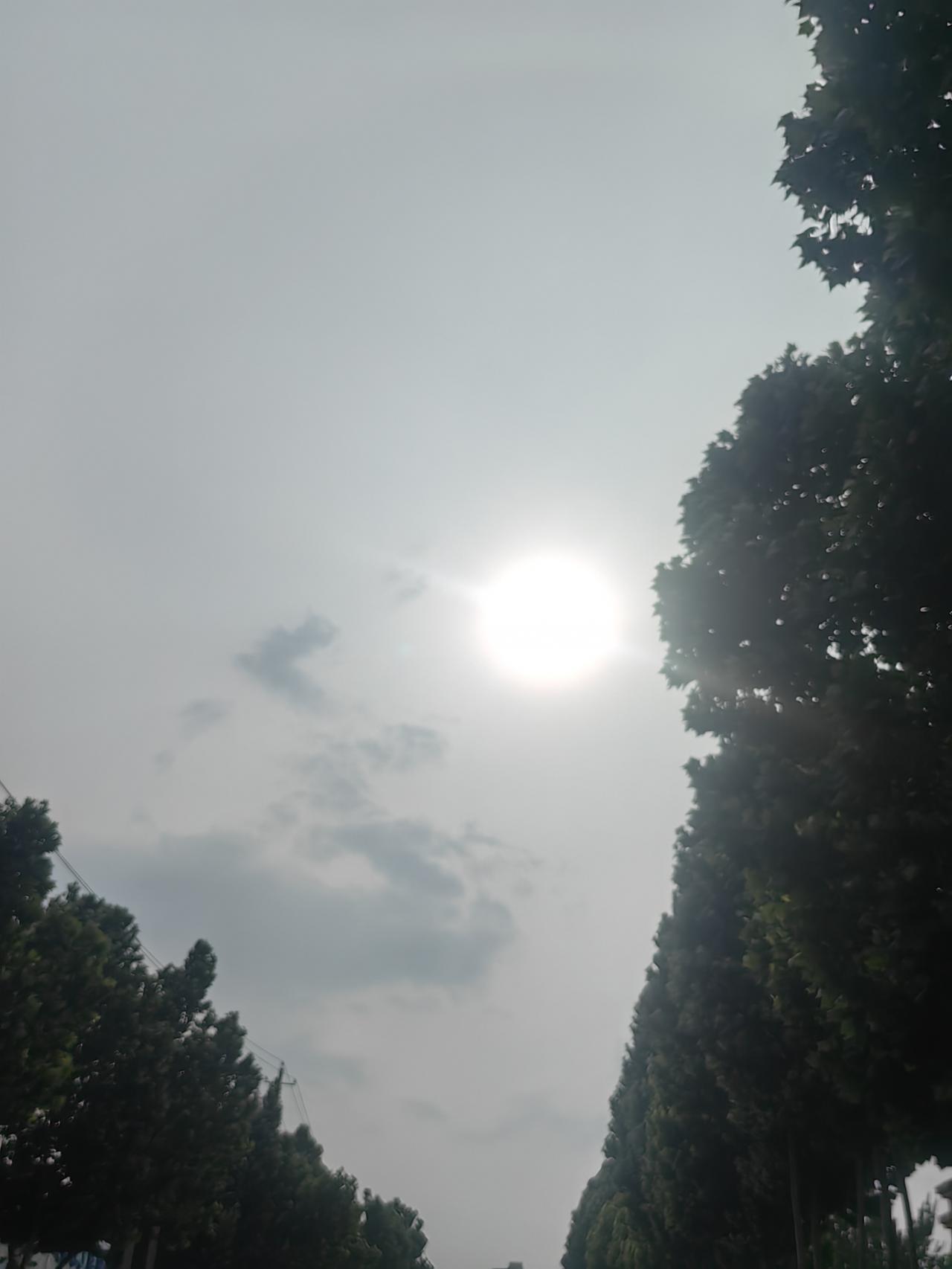 有没有好看的风景图片分享