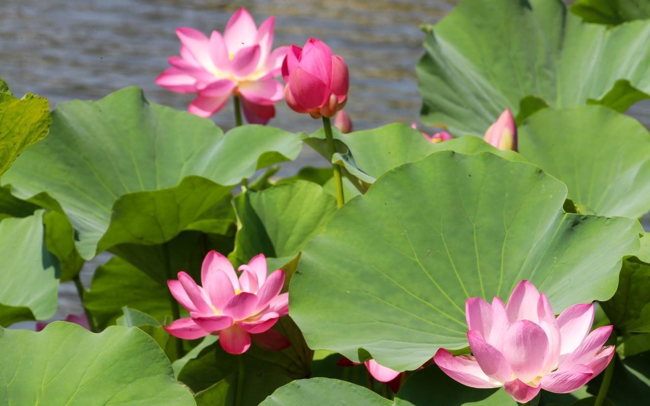 有时候人就是这样，遇到再大的事自己扛忍忍就过去了，听到身旁的人一句安慰就瞬间完败