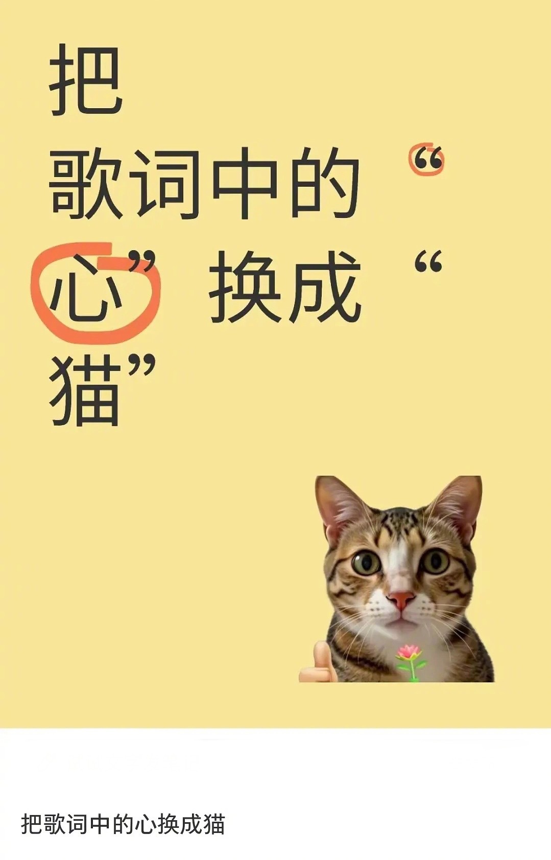 把歌词中的“心”换成“猫”