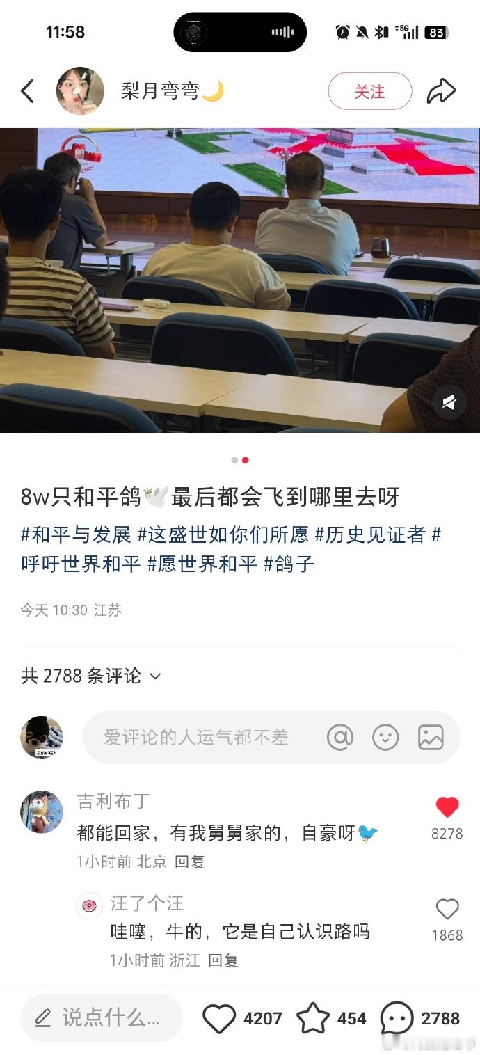和平鸽工资15元​鸽鸽我呀非比往日了​​​​