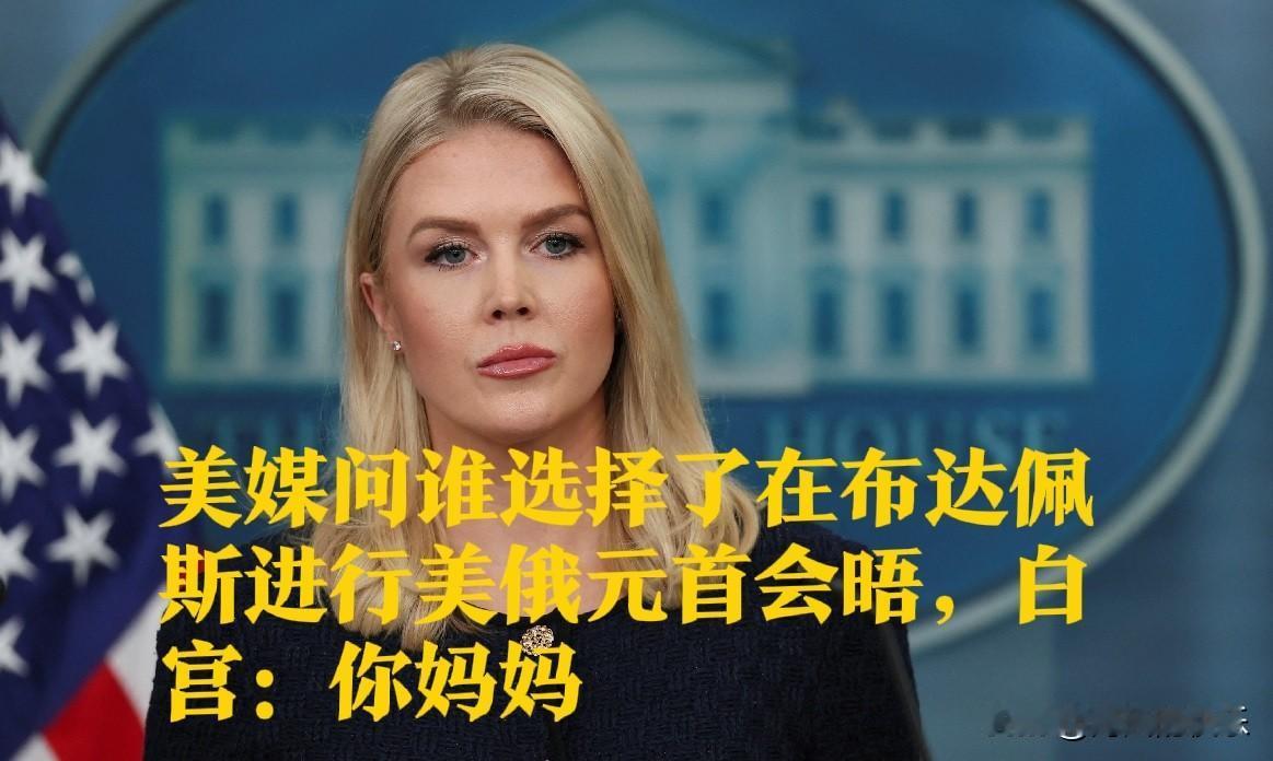 美媒问谁选择了在布达佩斯进行美俄元首会晤，白宫：你妈妈据外媒报道美国总