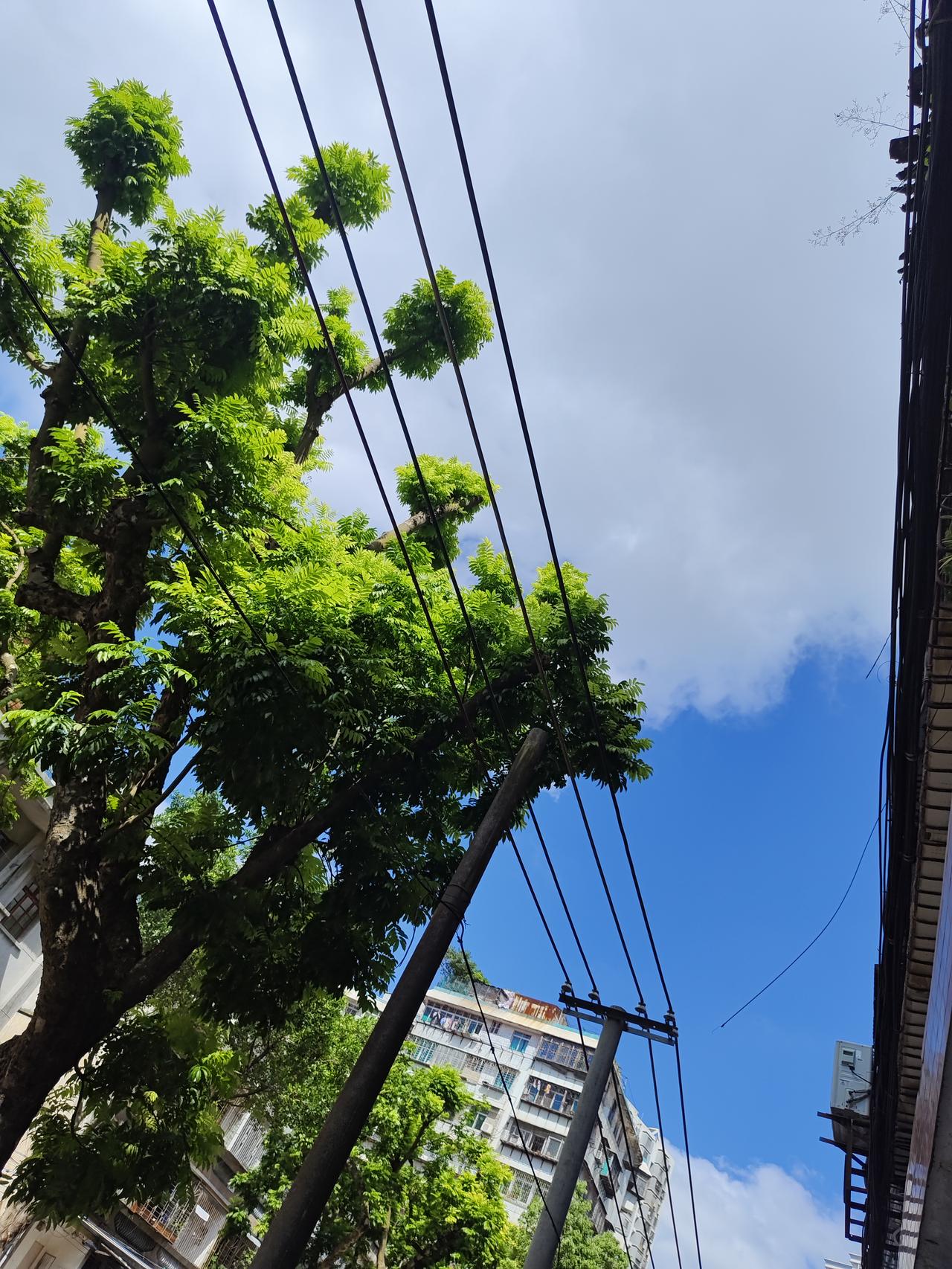 刚刚防空警报响了，警报在空中回荡。我愣了一下，是警报演习吧，没有收到通知。后来我