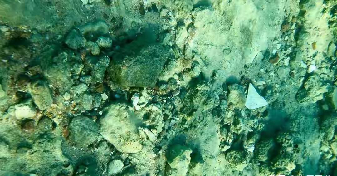 中国稀土提纯技术突破，欧美突然松口对华合作，卡脖子时代要结束？稀土这东西看