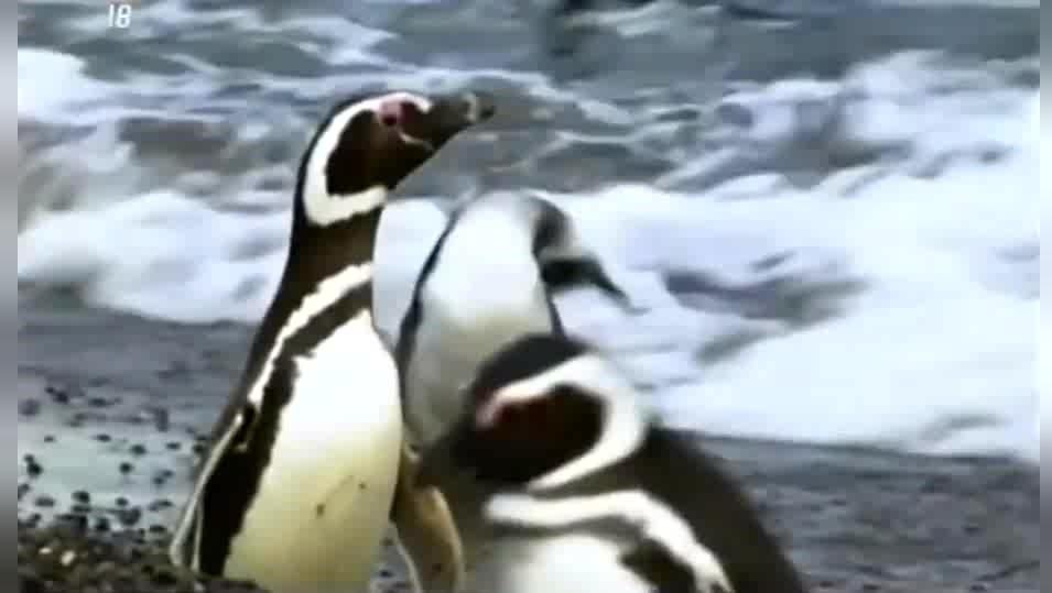 377061345088728656.jpg?id=0