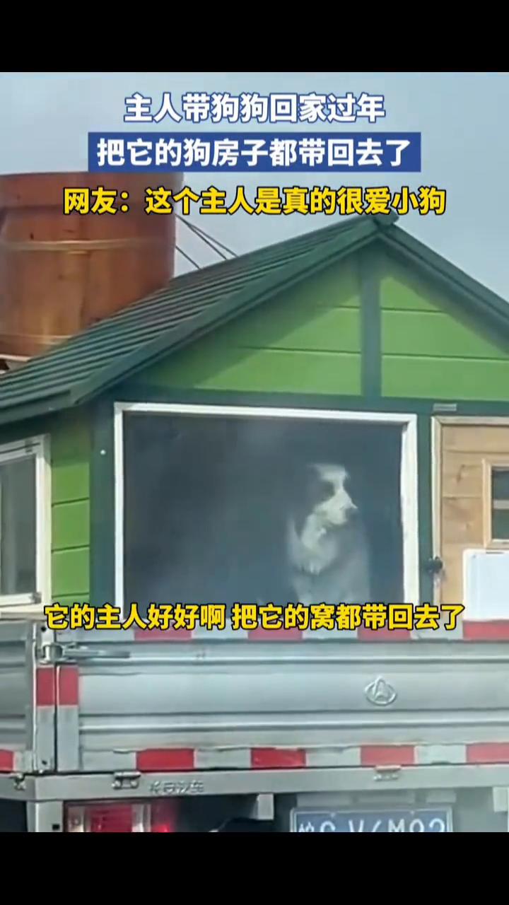 主人带狗狗回家过年，把它的狗房子都带回去了。网友：这个主人是真的很爱小狗。2
