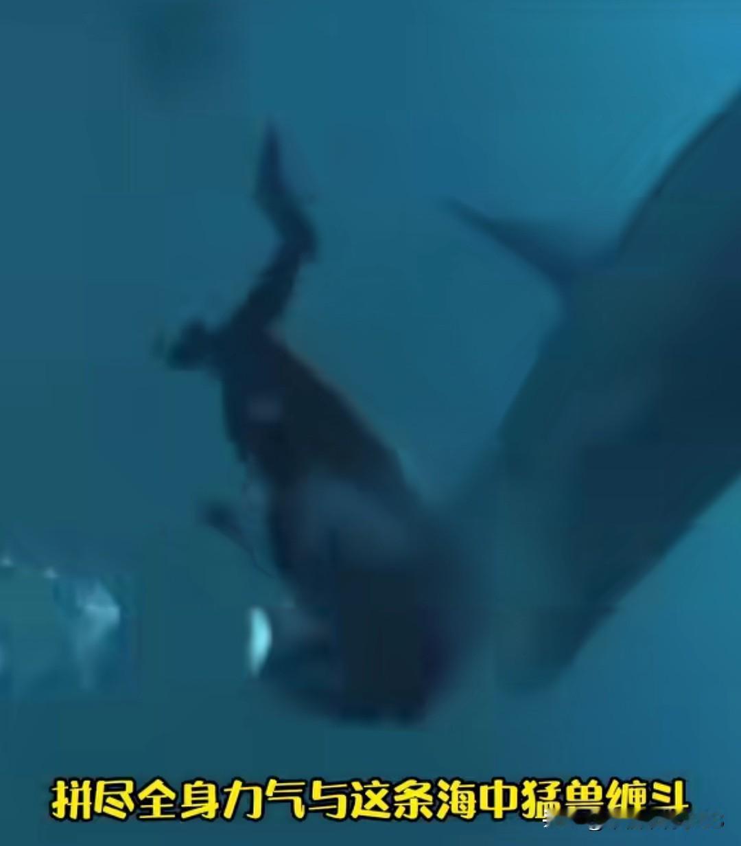 宁愿跟鲨鱼拼命，也不敢面对生气崩溃的姐姐，都说鲨鱼特别可怕，可跟暴怒的姐姐比起来