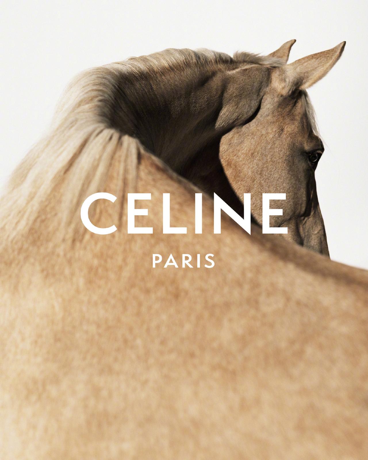 新年快乐🐴CELINE2026新年广告大片摄影:钟灵天南地北