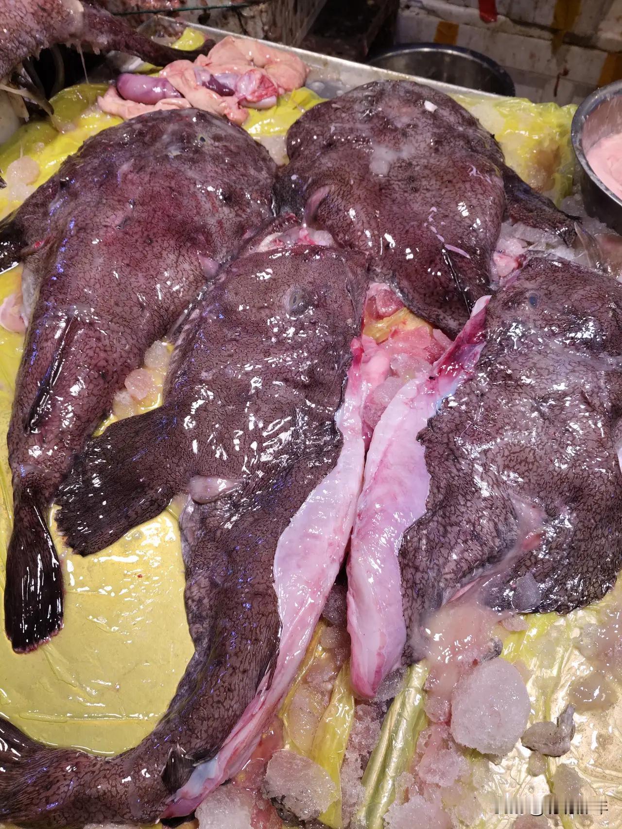 青岛沙子口渔港惊现“深海丑八怪”大丰收！十几斤重安康鱼堆成山，每斤3元遭疯抢，网