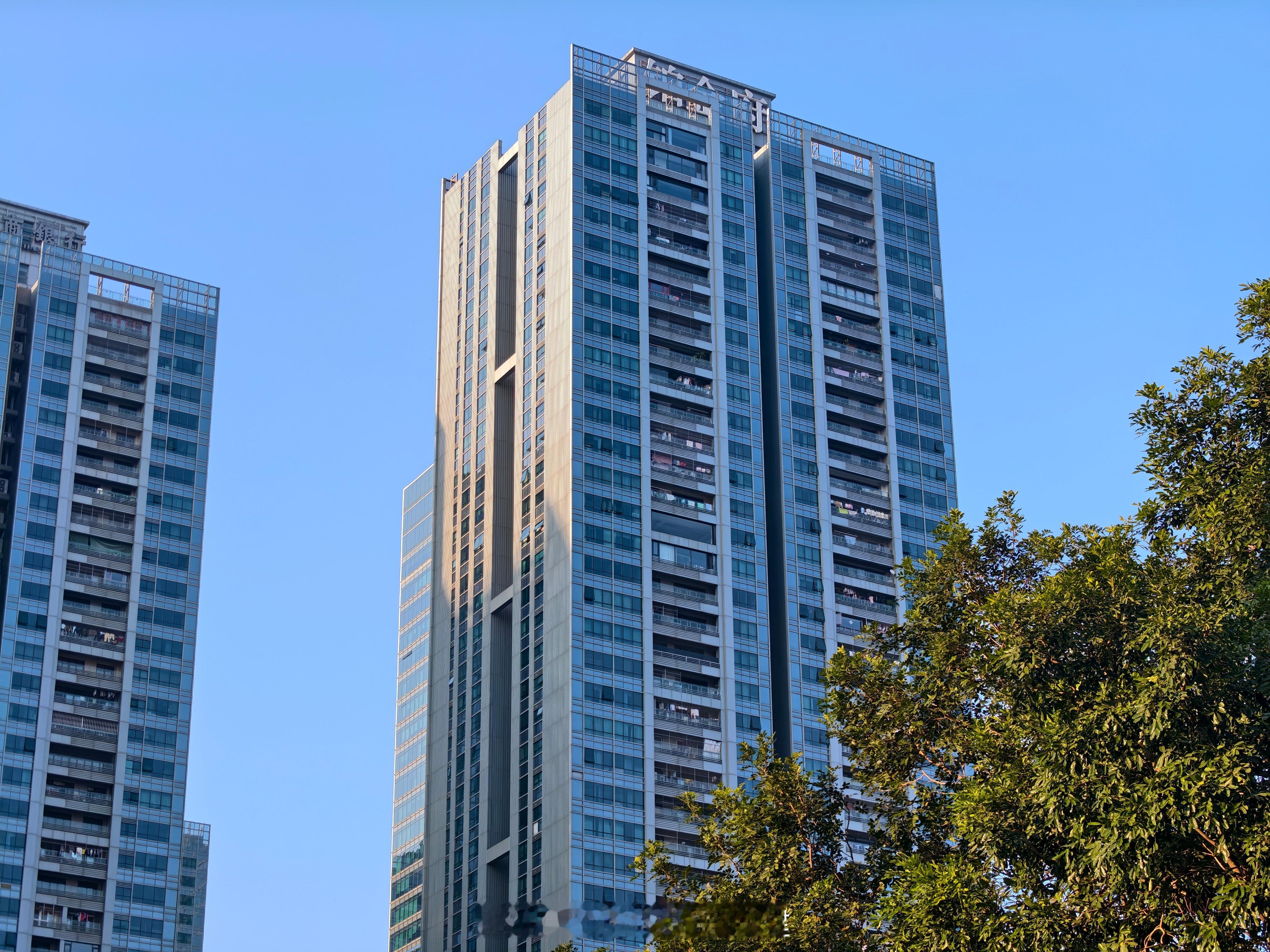 这在惠州算豪宅吧，名字都叫铂金府了惠州