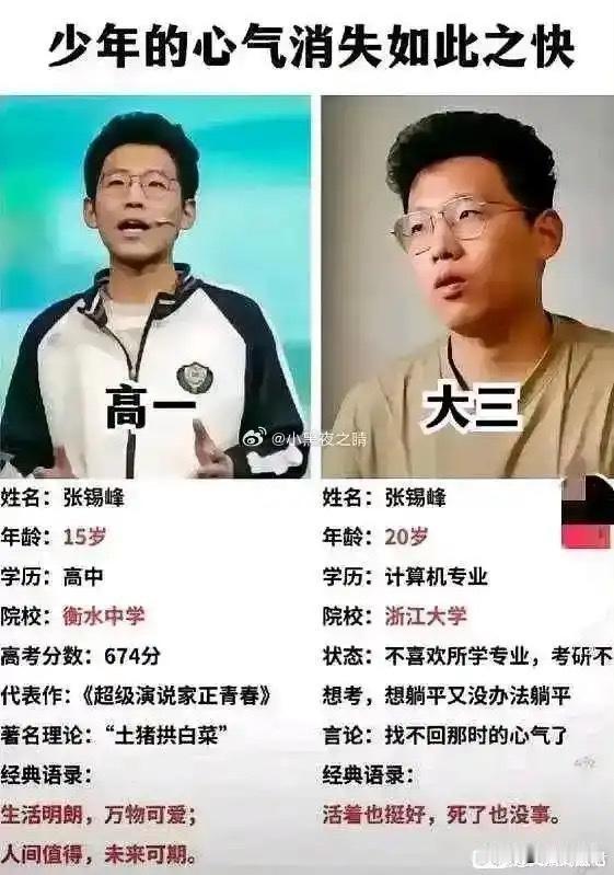 少年的心气一下子就消失了