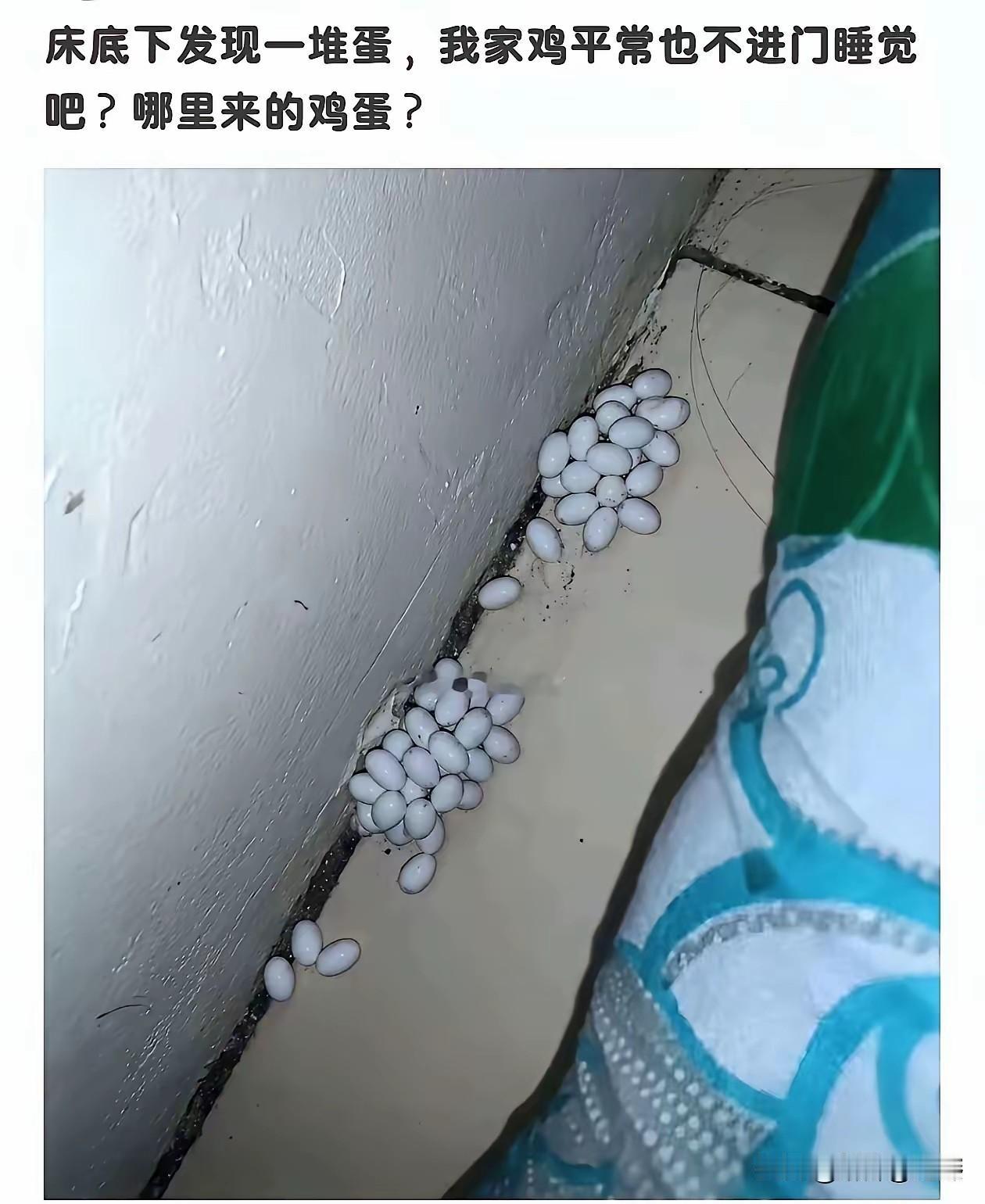 老天呐，这房子不能住人了，找消防叔叔过来吧！[捂脸哭][捂脸哭][捂脸哭]