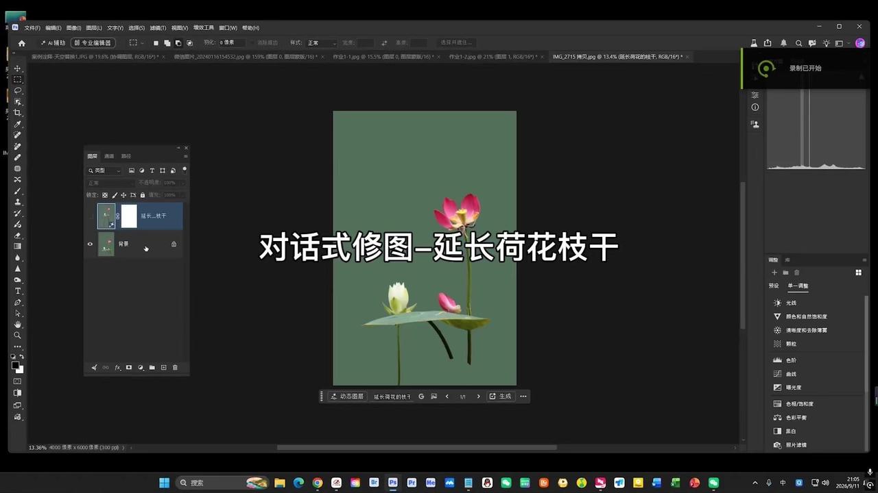 1️⃣初次输入提示词“延长荷花的枝干”，生成效果会出现枝干过长、荷花机位偏移的问
