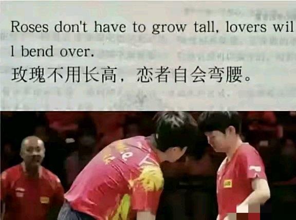 莎头混双｜玫瑰不用长高，恋者自会弯腰🌹混双赛场上的莎头，从来不懂什么暧昧