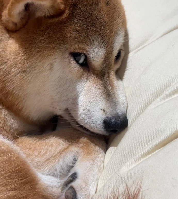 看面相有八百个心眼子