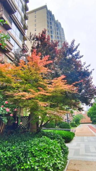 很清醒的一段话:“人可以节约，也可以不买衣服，甚至吃差点，不修边幅都可以。但