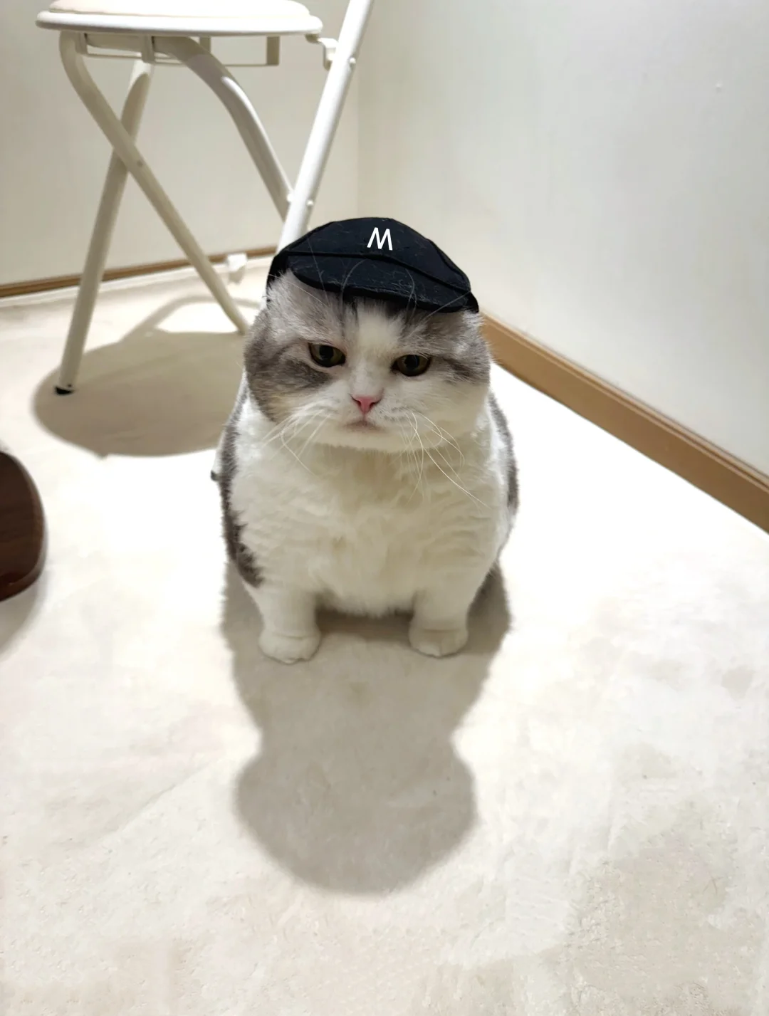 送去上班被退回