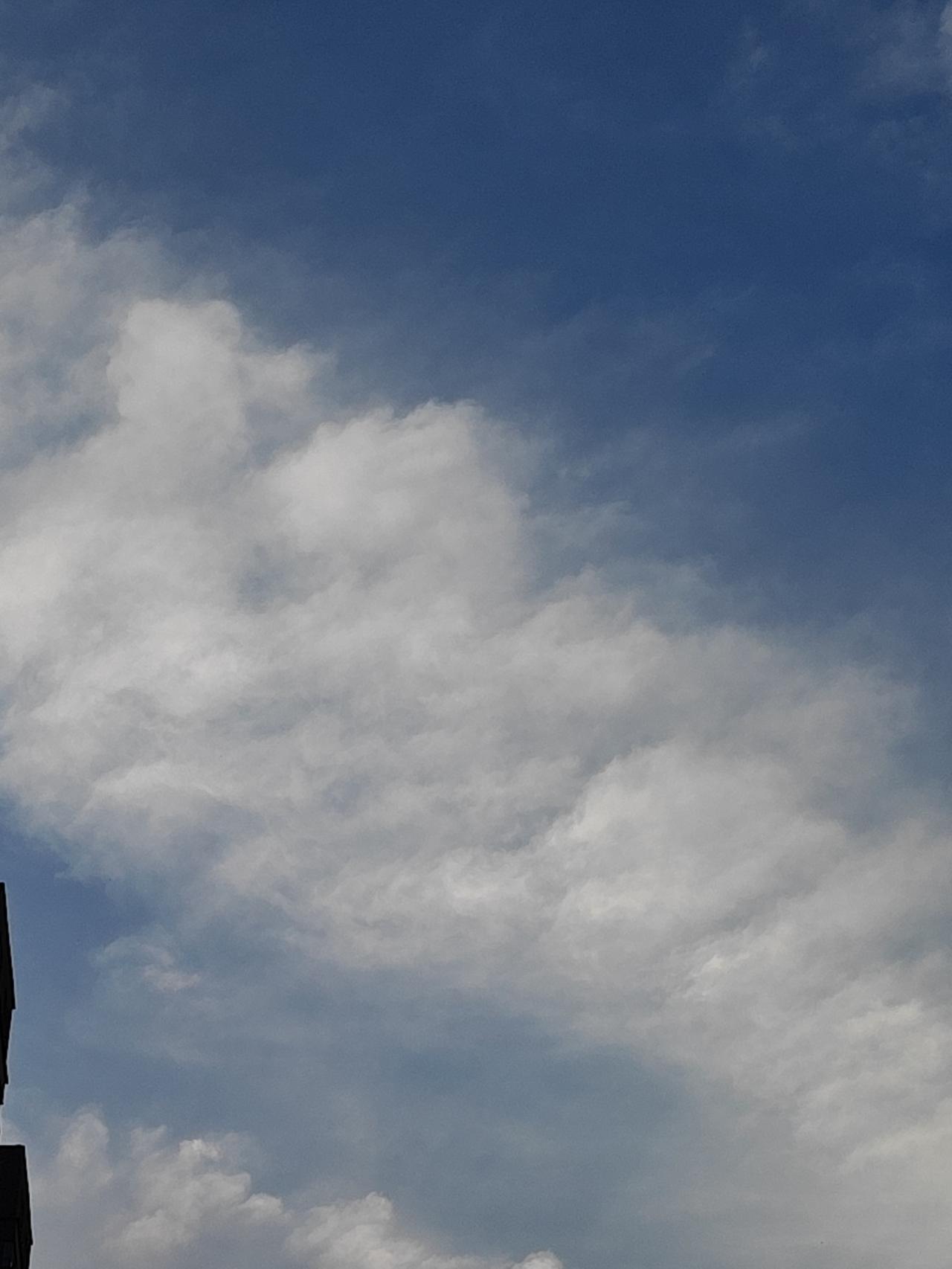 石勒说：也罢，但不必动刀。晋帝国太傅东海王司马越在项县（河南沈丘）去世，西晋