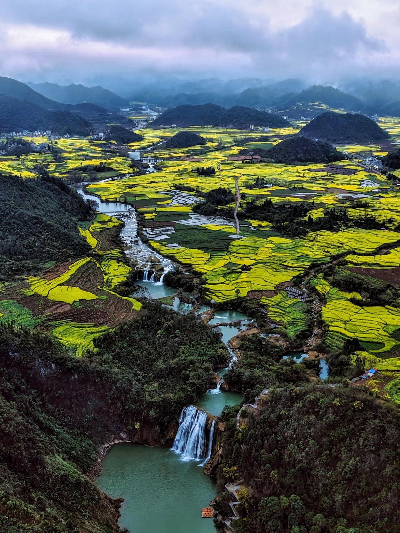 罗平春行｜雾里藏不住的金色画卷2月19日，在罗平九龙瀑布，撞见了春天最盛大