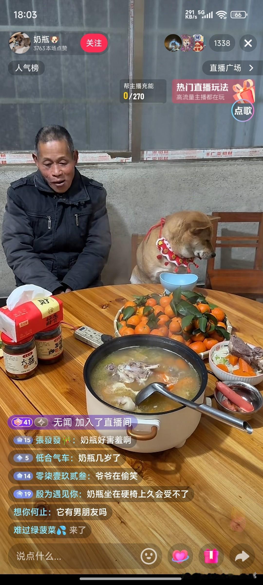 一等功功勋犬转型吃播带货！谁能想到，曾经在救过主家小孩、拿过一等功的功勋犬