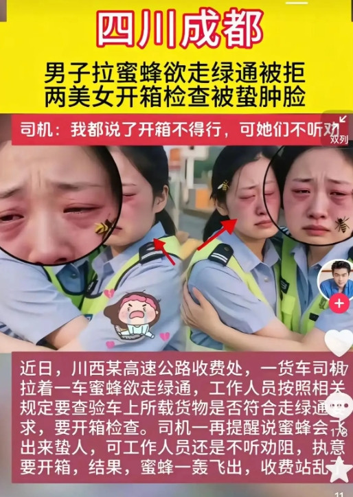 成都高速一司机拉蜜蜂想走绿通，已经告之是蜜蜂，而且明确告知了开箱查验会出现的后果