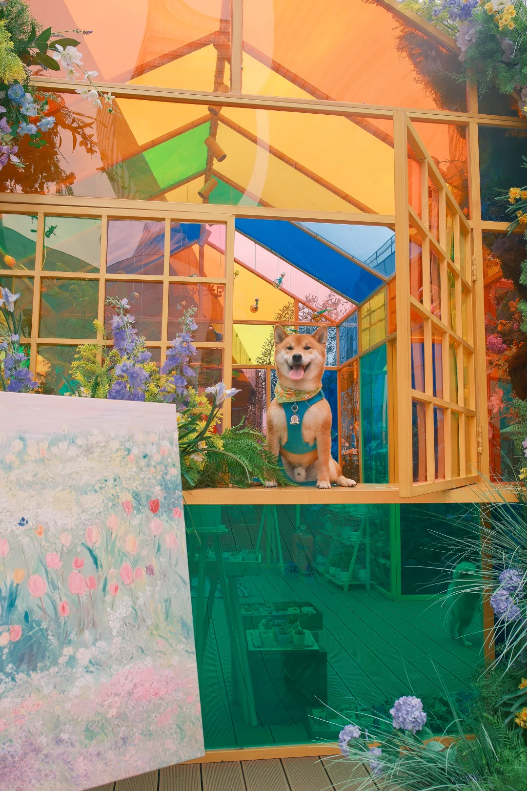 武汉新天地的玻璃💐花房太出片啦～