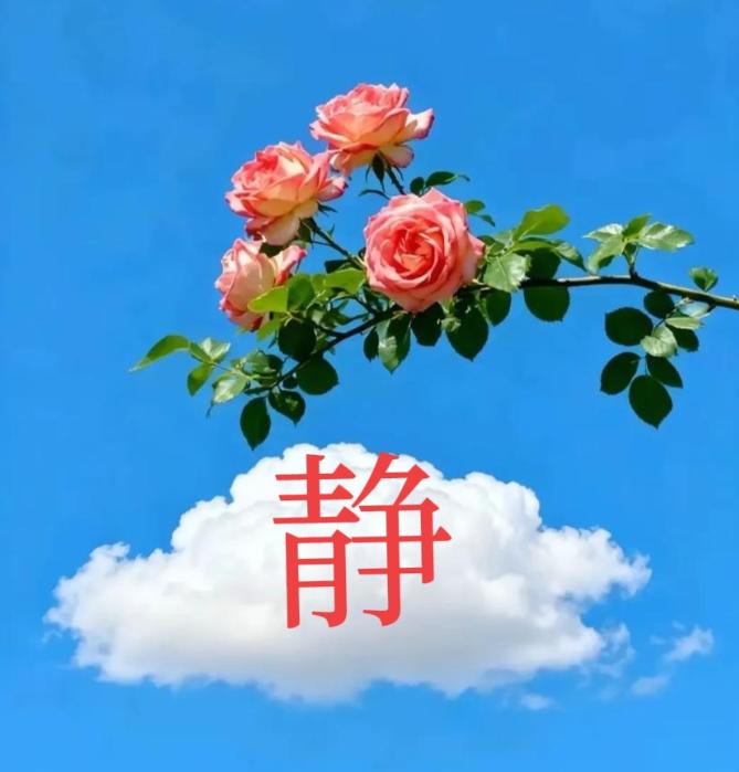 今年微信安静了，不是人情淡了，是有人把窗户纸捅破了。去年有个高人说了句话，我