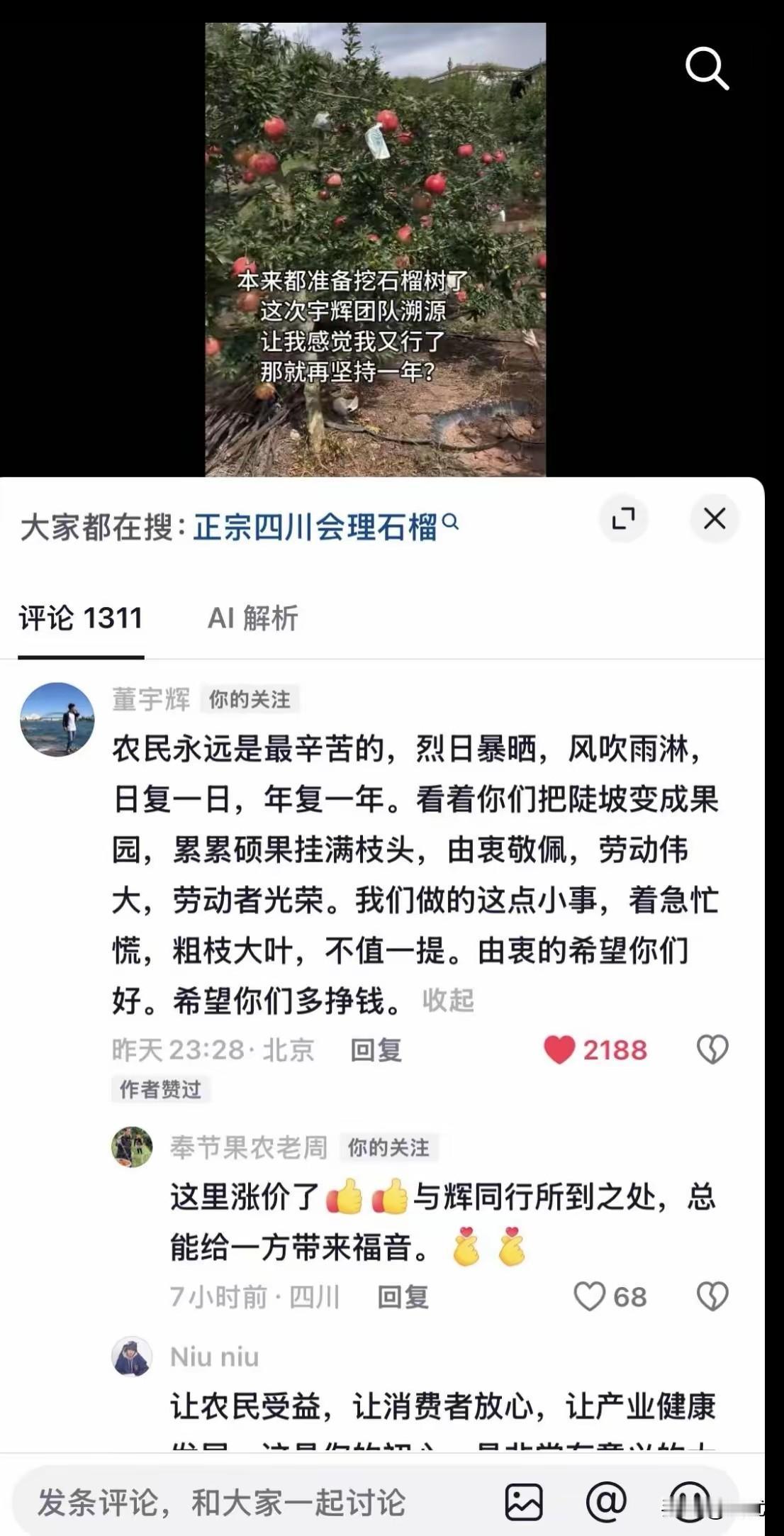 果农都准备砍石榴树，董宇辉一条评论太戳心！刷到四川会理果农的视频，心里五味