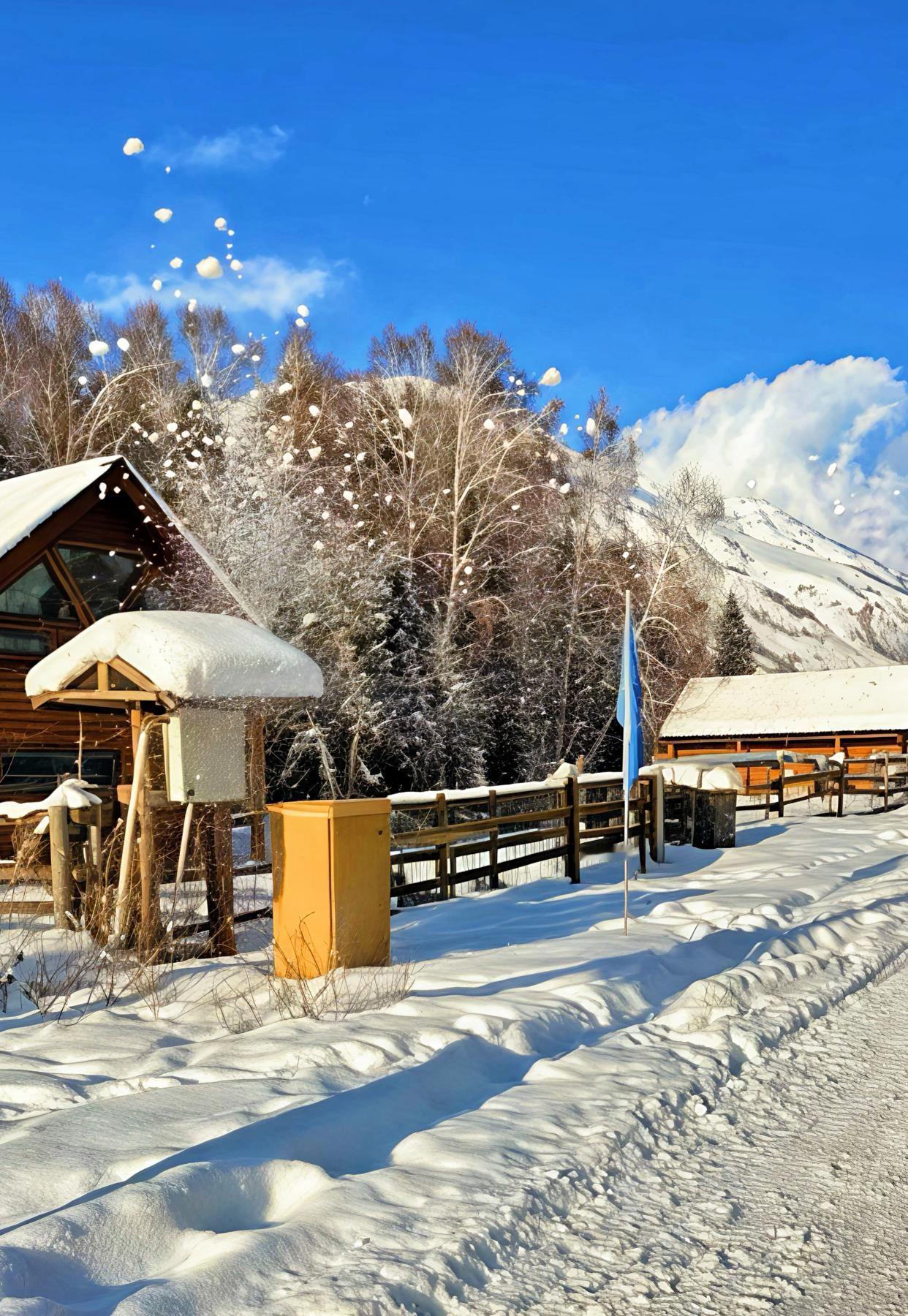 今日运势：丙午年庚寅月丁巳日2026.2.12日鼠：注意容易破财牛：小