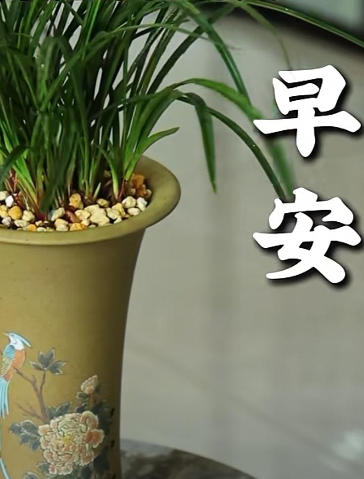 你記得我是一份感動，我牽掛你是一份真誠，但願這份感動和真誠，情系人生，感恩