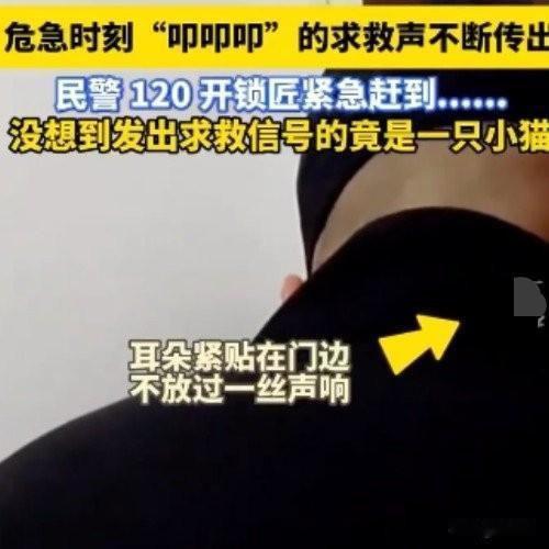 九旬老人摔倒昏迷，小猫叩门救主太机智，关键时刻顶大用杭州九旬老人在家突然摔