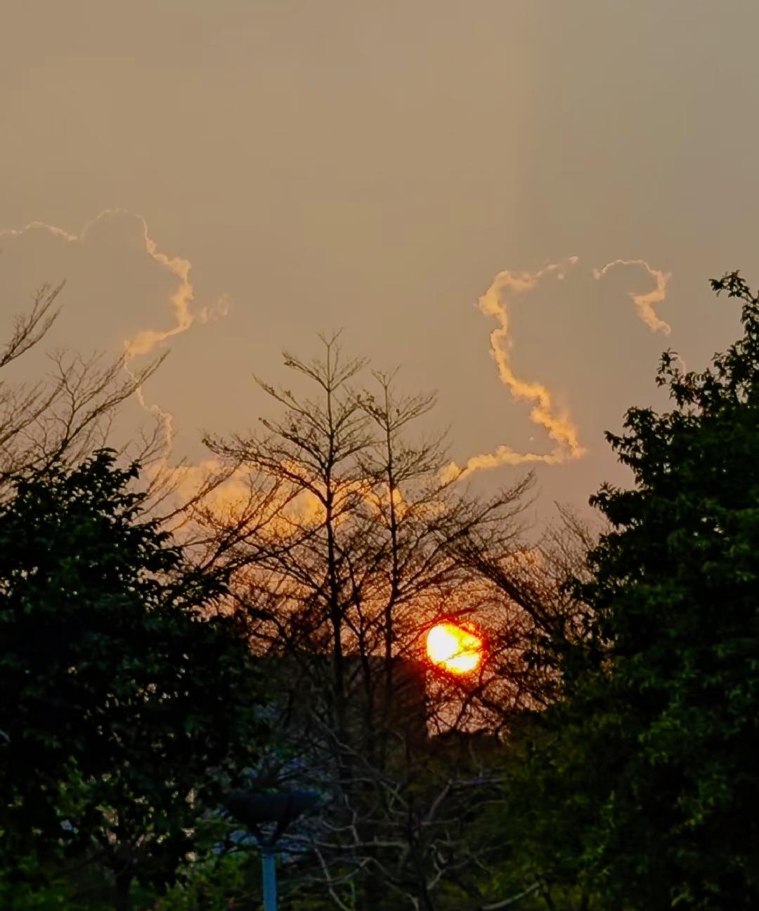 一段通透的话：独来独往古来事。一位博主说，现在正常人不多，那些独来独往的人，大概