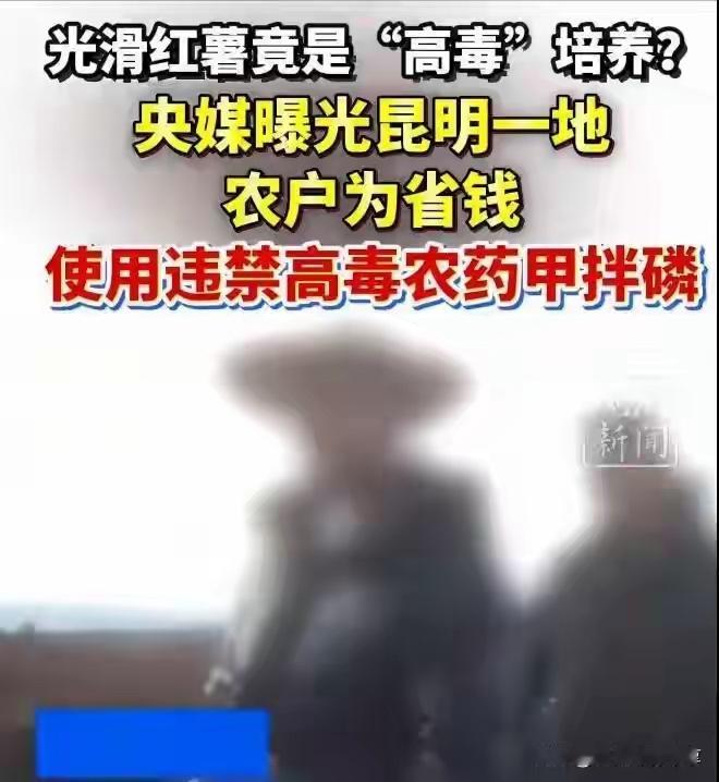 央视揭秘“夺命红薯”！商家故意投毒，已蔓延全国多地，赶紧扔掉腊月里街边烤红薯的