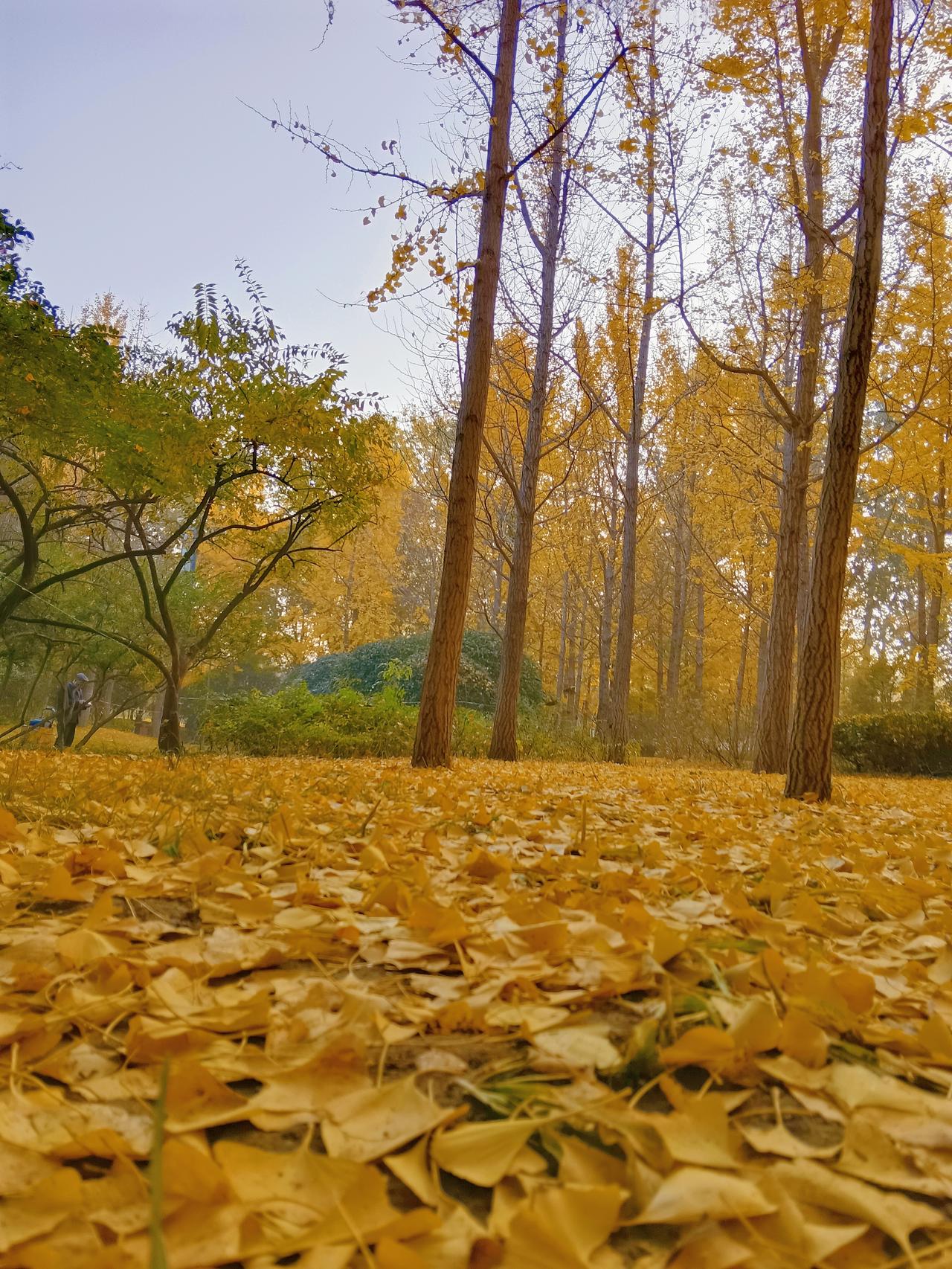 青蛙在你们那里的方言叫什么呢哈哈！哈哈哈！我们这叫蛤蟆