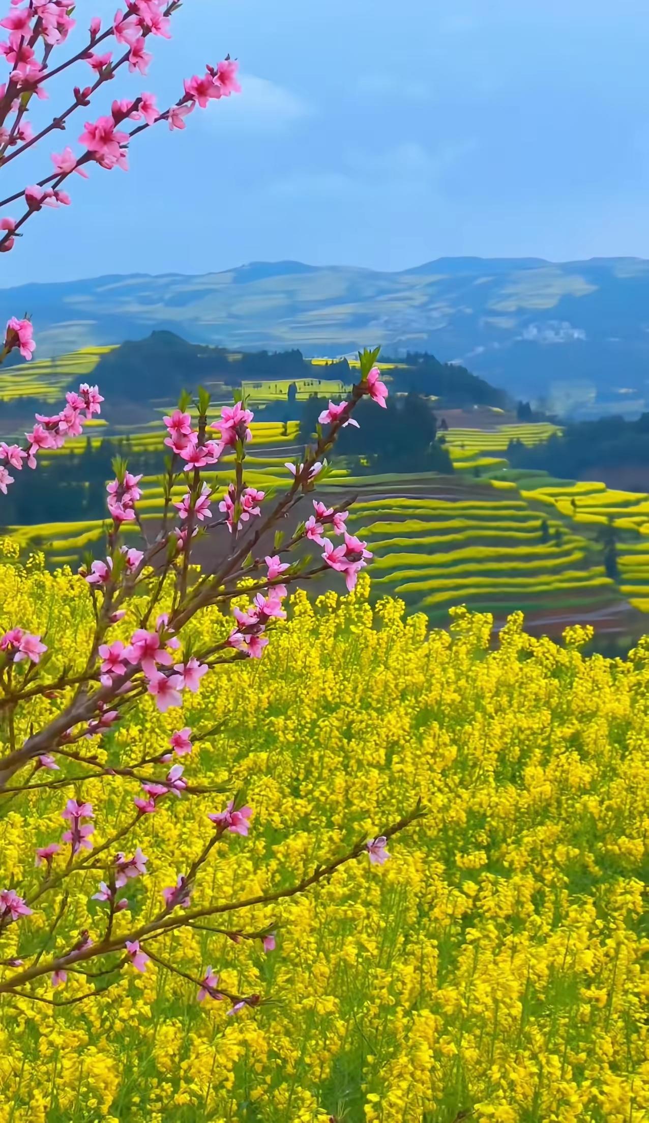 人活着，不必焦虑人这一辈子，该你走的路，一步不会少；该你有的福，一点不