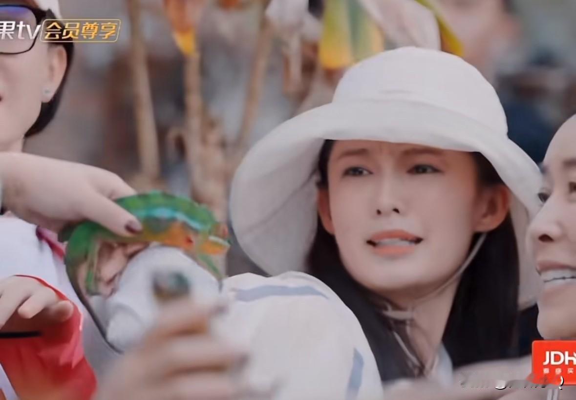 笑死，女明星的自我修养名场面。李沁很害怕变色龙这些冷血动物，当小动物隔着衣服