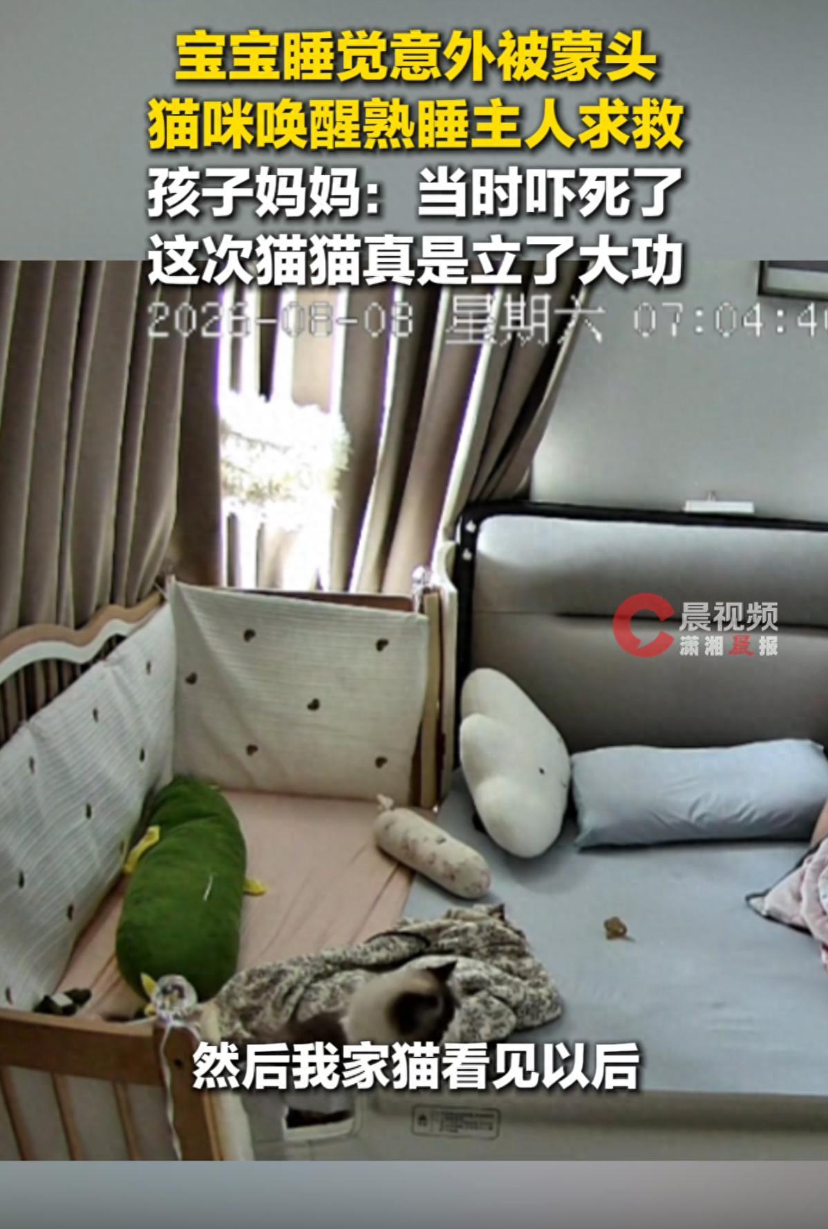 山东，7个月宝宝被子蒙头，家里猫拼命扒醒宝妈捡回一条命山东临沂，8月8日中午