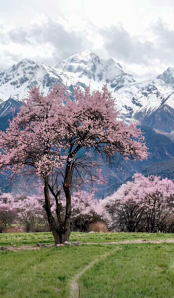 退休人员最好的生活状态1. 身体无大病，生活能自理规律作息、适度锻炼，管