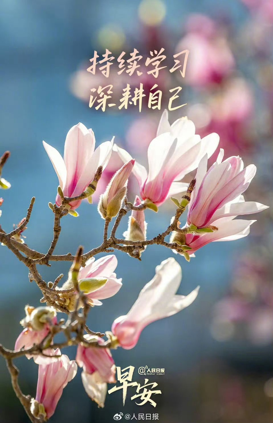 生活，需要一点阳光，生命，需要一些勇敢，纠结过去，担心未来，都不如抓住当下，过去