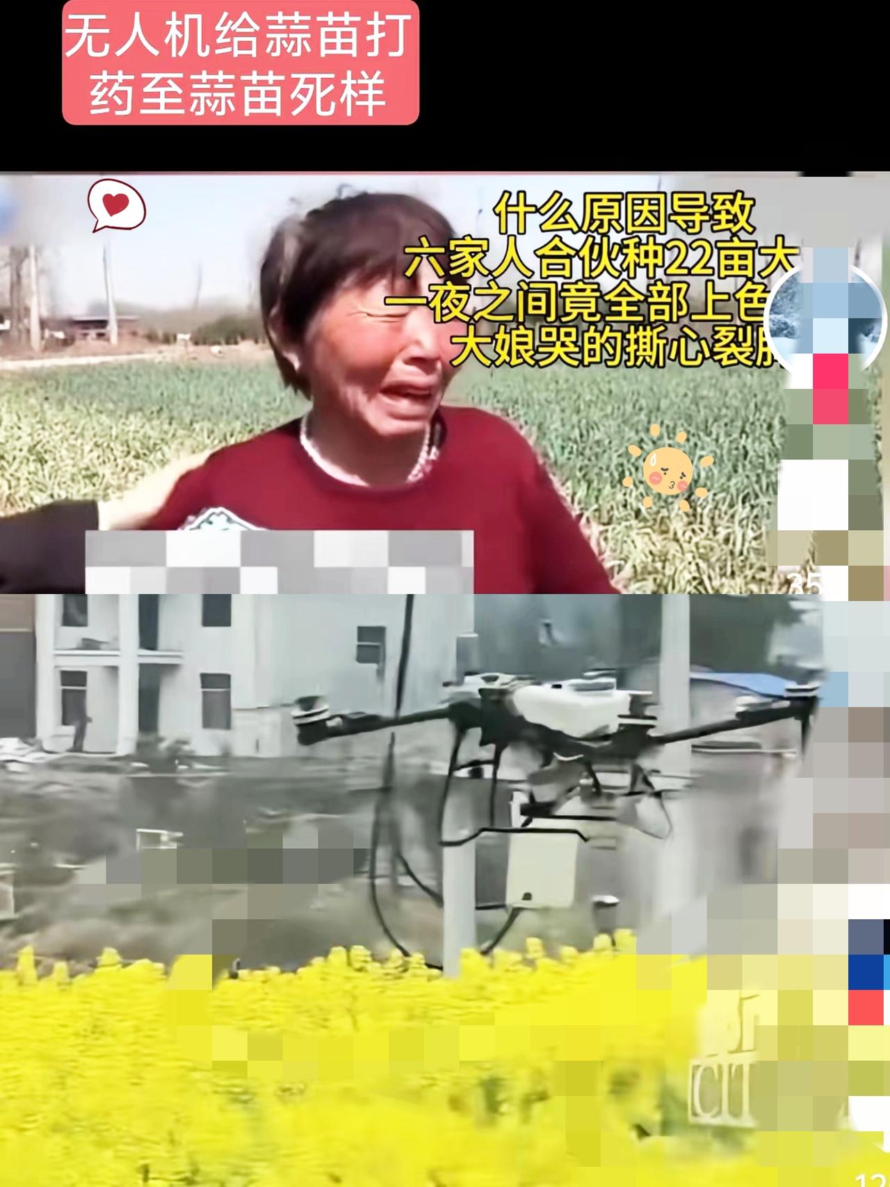 最近农村怪事接连不断，看着真让人揪心。无人机给油菜打药，蜜蜂成片死亡；给蒜苗