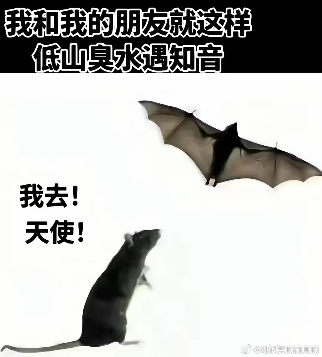 1557我和我朋友就这样