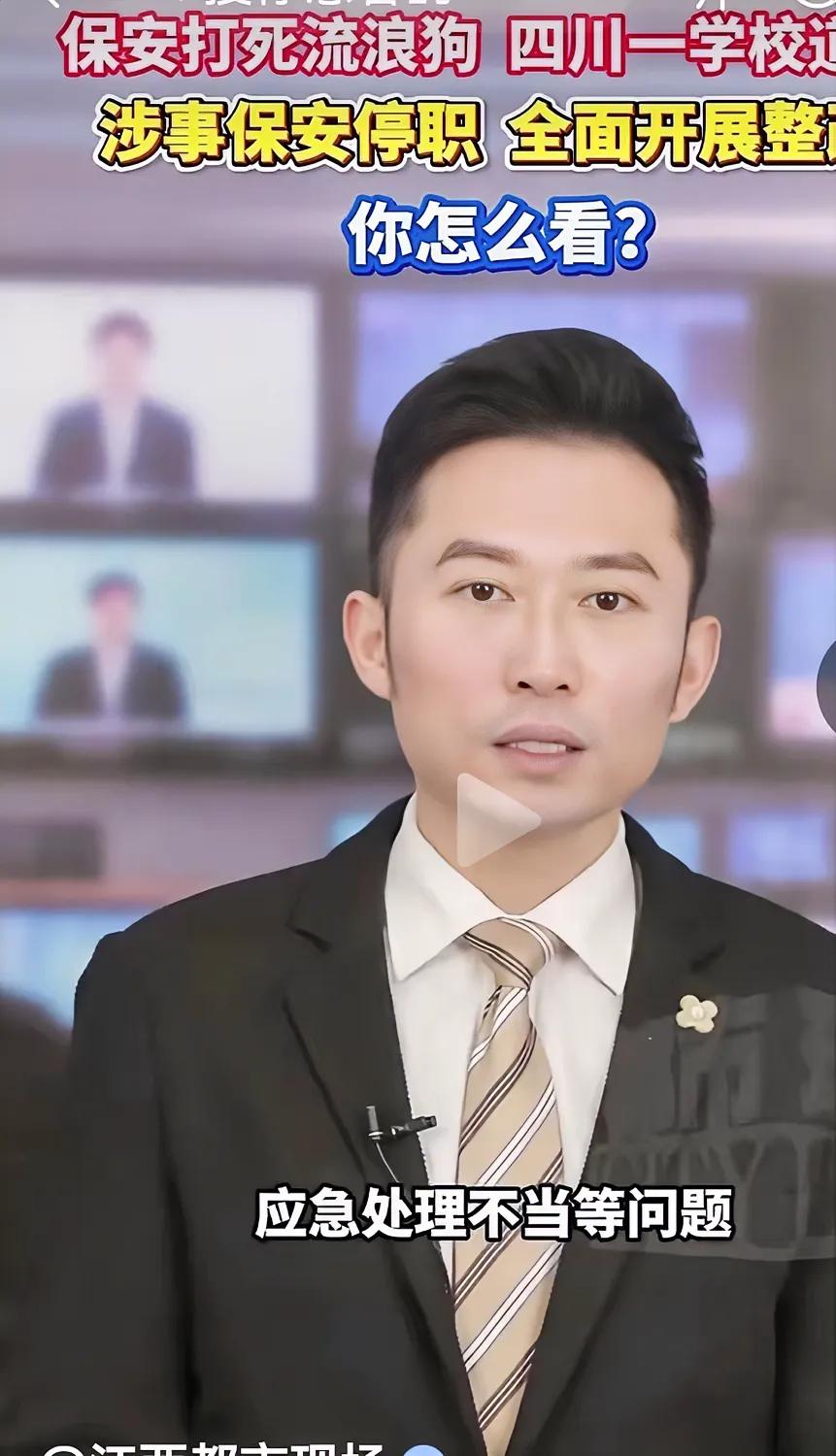 道什么歉？为什么要道歉？流浪狗咬了人，爱狗人士一个个和死人一样，选择视而不见。