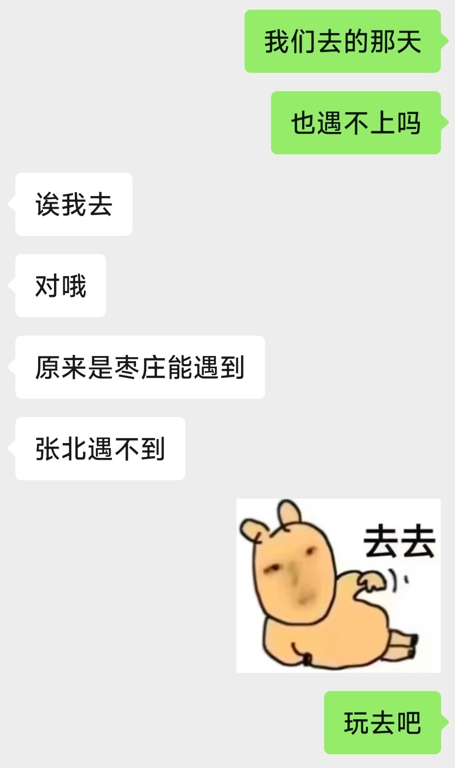 以防各位没有见过笨蛋有一只😶